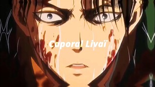 Nuit Incolore - Caporal (AMV by @M i k i )
