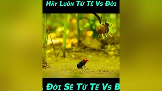 Cuộc Sống Có Vay Có Trả, Luật Nhân Quả Không Bỏ Sót Một Ai 😎 phim phimhay phimmoi phimhaymoinhat phimhoathinh