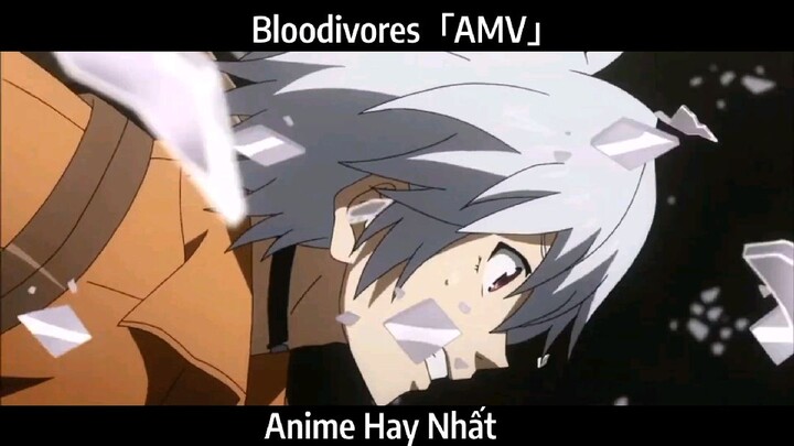 Bloodivores「AMV」Hay Nhất