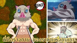 รวมความพิเศษ ของร่างกาย อิโนะสุเกะ _ #ดาบพิฆาตอสูร