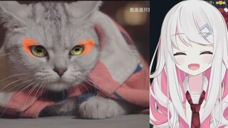 日本辣妹看可爱猫咪火影视频