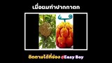 เมื่อผมทำปากกาตกในห้องเรียน #short #easyboy