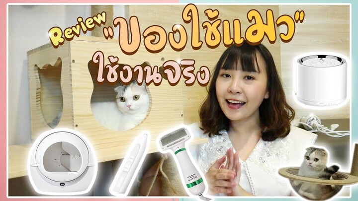 รีวิว ของใช้แมว ที่ใช้งานจริง !! No Sponsor จ้า : EP31