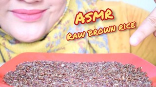 ASMR RAW RICE EATING || RAW BROWN RICE || MAKAN BERAS MERAH || porsi sedikit ASMR INDONESIA