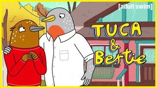 Speckle's Renovation Project | Tuca & Bertie | adult swim