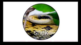 snek:D