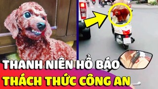 Thanh niên Chó đi 'CHÁY PHỐ' không đội nón bảo hiểm, còn 'LÈ LƯỠI' thách thức cả C.S.G.T 😎 Gâu Đần