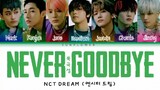 [SUB INDO] NCT DREAM (엔시티 드림) - 'NEVER GOODBYE '  [북극성]