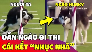 Dẫn Ngáo Husky đi tham gia cuộc thi 'KỸ NĂNG CHÓ' nhưng kết quả khiến Sen 'XẤU HỔ' 😅 | Gâu Đần