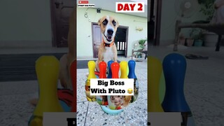 Big Boss With Pluto ( DAY 2 ) 😂 | #funny #animals