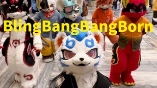 去展会不知道干嘛就一起BlingBangBangBorn
