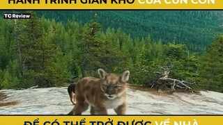 phần 1