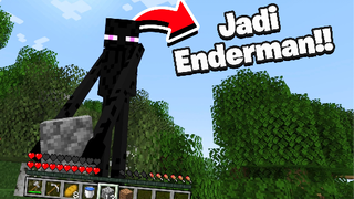 Tamatin Minecraft Tapi Jadi ENDERMAN!! Kena MENTAL!!