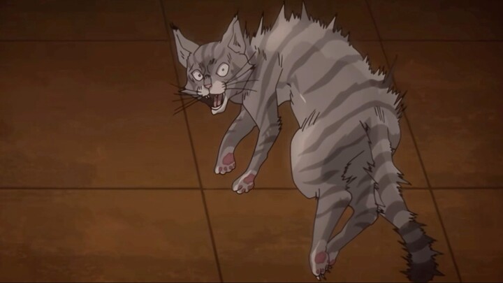 Dio juga menyukai kucing
