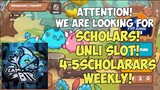 Axie Infinity - We are looking for SCHOLARS! TEAM BTP!