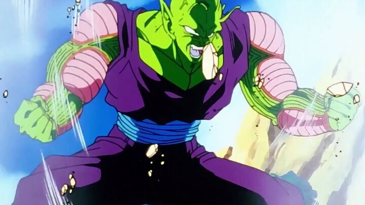 25. Piccolo vs. No. 17