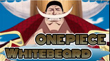 ONE PIECE|Whitebeard-Since I am already a father, how about sacrificing life to save son?