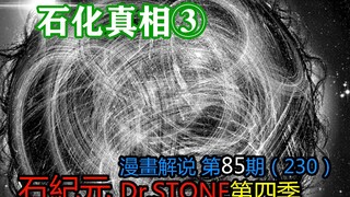 #85#石化真相③【石纪元】第4季漫画解说第85期