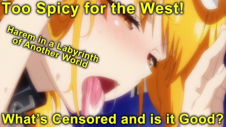 Too Spicy for the West! What's Censored? Is it Good? - Harem in a Labyrinth of Another World!