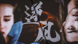[Xiao Zhan丨Liu Shishi] ภาพลวงตาหลักสิบประการ: คุณไม่ใช่เขา (แฝด + กลับด้าน)