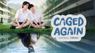 Caged Again Episode 1 English Subtitle