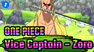 ONE PIECE|【Epic Compilation 】Vice Captain - Zoro_1