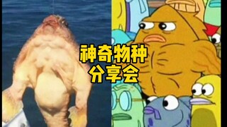 海绵宝宝里的鱼真实存在吗？