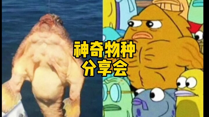 ปลาใน SpongeBob SquarePants มีจริงหรือเปล่า?