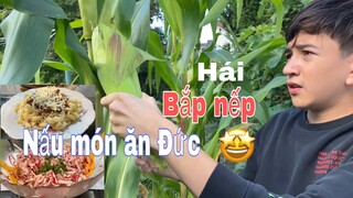 Nấu món ăn ba cha con thích. Lần đầu hái bắp nếp Việt Nam ở Đức 🤩| Cuộc sống ở Đức