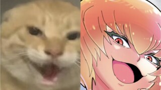 The ultimate true form of the round-headed octogenarian