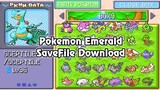 New GBA Rom Hack 2020 Emerald Randomizer with Gen 8 Pokemon, Galar forms,  Mega Evolution - BiliBili