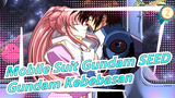 [Mobile Suit Gundam SEED] Gundam Kebebasan Yang Terkuat!_2