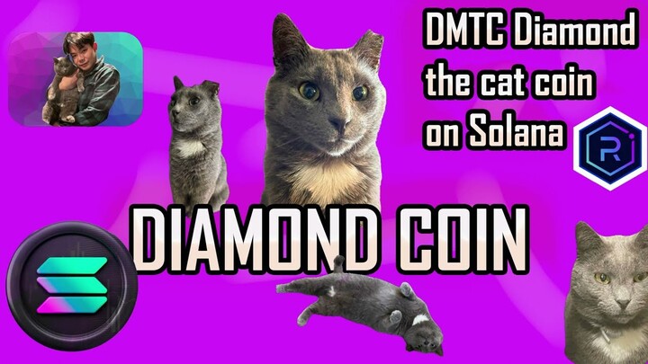 DMTC เหรียญมีมแมวน้องใหม่ อนาคตX10,000 ของTrader ทาสแมวทุกคน