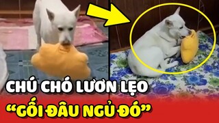 Lu Công Tử THÔNG MINH, LƯƠN LẸO mọi cách để được NGỦ CÙNG SEN 😂 | Yêu Lu