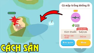 Cách Săn "Cá Mập Trắng Khủng Lồ" Mới, TVT Phát Hiện Vị Trí Cực Dễ Lên | Play Together