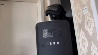 When you have a full-level roommate