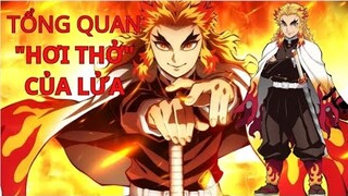 Tổng Quan Về Hơi Thở Của Lửa(9 Thức)Trong Kimetsu no Yaiba|GSANIME.