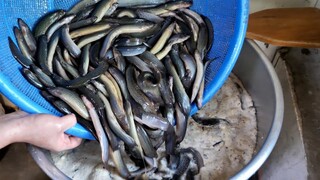 “매운탕 맛 난다는 100% 국내산 미꾸라지 추어탕 집, 부천 맛집” Korean food spicy mud Fish Soup, korean street food