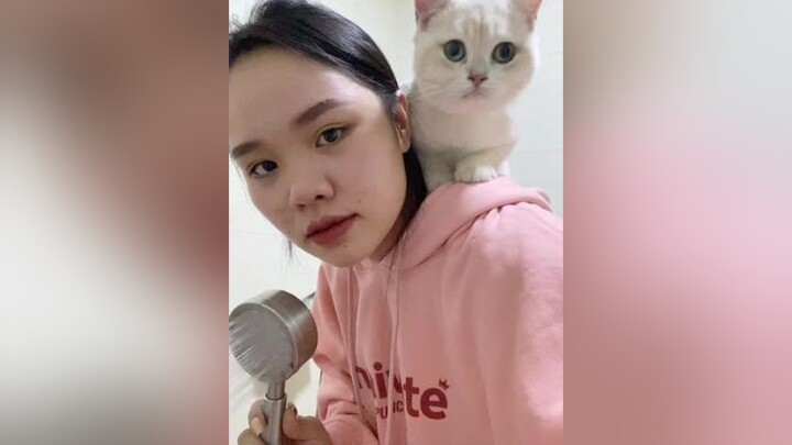 Mèo của bạn có tắm ngoan không ???? mèo tiktok LearnOnTikTok meow cat dcgr