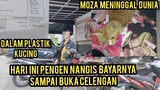 Masya Allah Nebus Mayat Kucing Jalanan Pake Kantong Plastik Rp 3.370.000 Auto Bobok Celengan.!