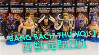 Quá đẹp với vol1 băng hải tặc bách thú của kaido jack king queen-  ワンピース ワールドコレクタブルフィギュア 百獣海賊団vol1