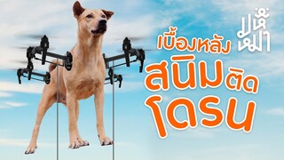 (EN) เมื่อสนิมแปลงร่างเป็นโดรน! - มหึหมา EP110