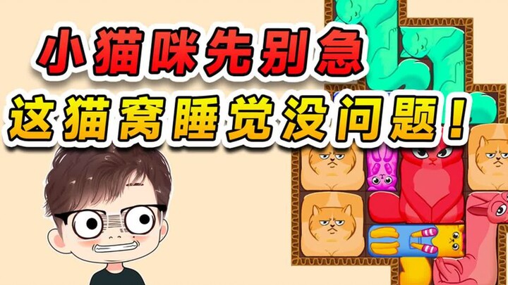 小猫咪你们先别急，虽然这猫窝有点挤，但睡个觉没问题！