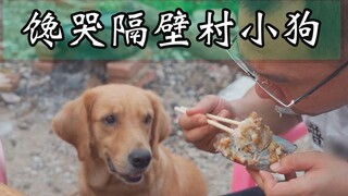 The fishing ban is over, and we can eat wild shrimp caught in nets again. Uncle Mo went to the fishi