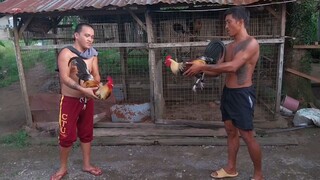 1stSpar