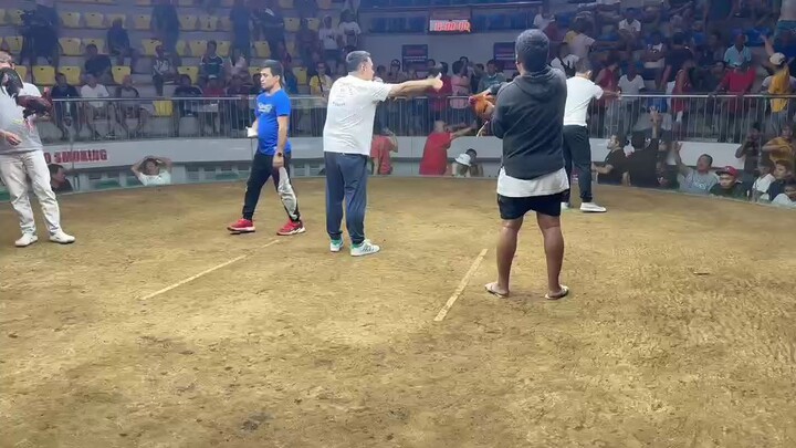 3 Cocks Derby @galleria Cebu    full brother Lemon84 x raptor sweater - Second Fight 3/2