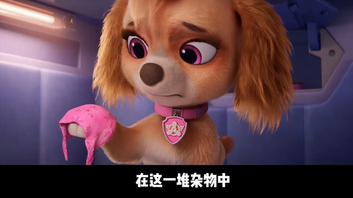 เด็กอายุ 10 ขวบอาศัยอยู่ในอาคารและขับเรือบรรทุกเครื่องบินได้อย่างไร "The Great Paw Patrol Movie 2: S