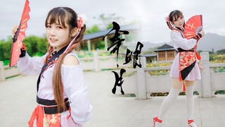 【球球】❀寄明月❀将相思寄明月 期盼你能察觉