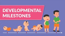 Developmental Milestones & communication