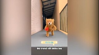 Thế giới động vật thật hài hước